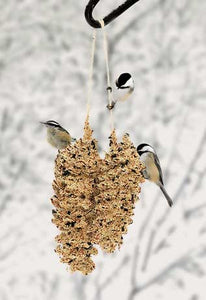 Pinecone Birdseed Pair